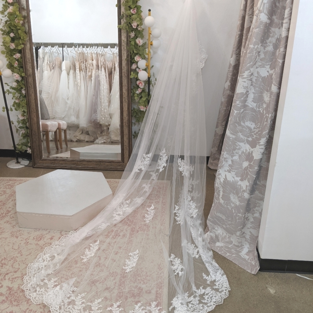 Cathedral Length Two Tiered Lace Trim Veil